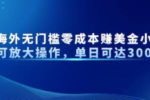（14542期）最新海外无门槛零成本赚美金小众项目可放大操作，单日可达300+