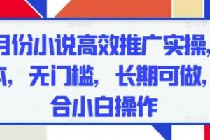 五月份小说高效推广实操，0成本，无门槛，长期可做，适合小白操作