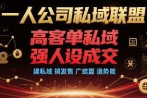 一人公司私域联盟，高客单私域，强人设成交，建私域 搞发售 广结盟 造势能