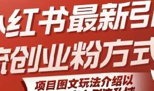 小红书最新引流创业粉方式，项目图文玩法介绍以及如何安全倒流私域