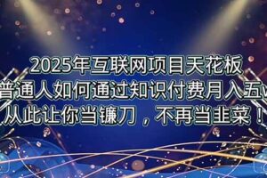 （15354期）2025年互联网项目天花板，普通人如何通过卖项目实现逆风翻盘，月入5W＋！