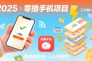 2025年零撸手机项目，二十秒一单，纯薅羊毛 一天2张+做就有【揭秘】
