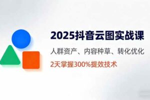 （16063期）2025抖音云图实战课，人群资产、内容种草、转化优化，2天掌握300%提效技术