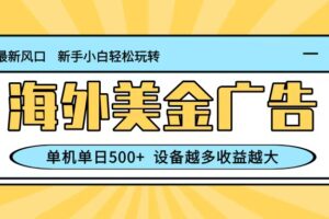 最新蓝海项目，海外美金广告，单机单日500+，可矩阵放大，设备越多收益越大