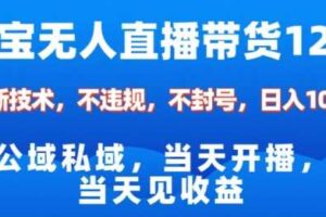 淘宝无人直播12.0，公域私域技术，不封号，不违规布局双十一流量风口，日入1k（独家技术）【揭秘】