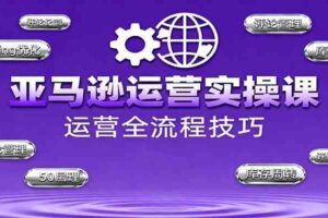 亚马逊运营实操课,选品策略,选品重点、广告最新打法、大促细节优化等(更新10月)