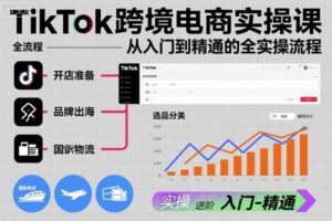 TikTok跨境电商实操课，从入门到精通的全实操流程