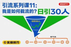 引流系列课11：我是如何截流的？日引30人【文档】