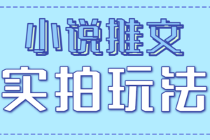 小说推文实拍玩法,零成本零门槛10元/单,轻松月收益万元