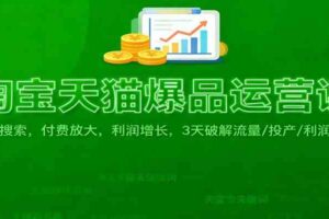 淘宝天猫爆品运营课:免费搜索,付费放大,利润增长,3 天破解流量/ 投产/利润痛点