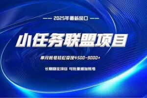 (16521期)小任务联盟项目:一台电脑每天只需10分钟,轻松简单稳定
