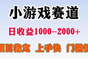 (16659期)日收益500-1000+ 一台电脑窝家里就能做