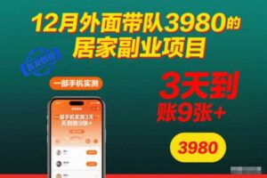 12月外面带队3980的居家副业项目，一部手机实测3天到账9张+，首发教程【揭秘】