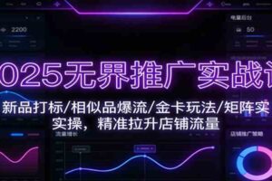 2025无界推广实战课：新品打标/相似品爆流/金卡玩法/矩阵实操，精准拉升店铺流量