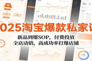 2025淘宝爆款私家课:新品到爆SOP,付费投放,全店动销,高成功率打爆店铺