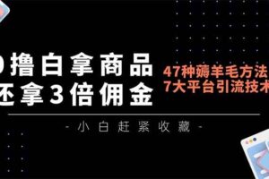 (16780期)0撸白拿商品,还拿3倍佣金,47种薅羊毛方法,7大平台全方位引流技术教学,精专月入过万