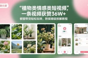 植物类情感类短视频，一条视频获赞36W+，橱窗带货轻松玩转，附保姆级拆解教程