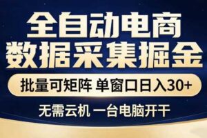 全自动电商数据集掘金,批量可矩阵,单窗口日入30+,无需云机,一台电脑开干【揭秘】