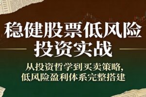 稳健股票低风险投资实战：从投资哲学到买卖策略，低风险盈利体系完整搭建