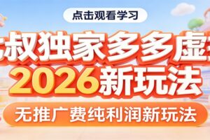 七叔独家多多虚拟，2026新玩法，无推广费，纯利润