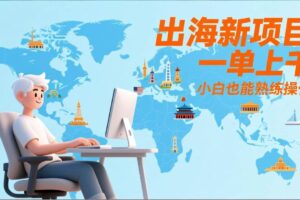 (17534期)出海新项目,一单上千,小白也能熟练操作