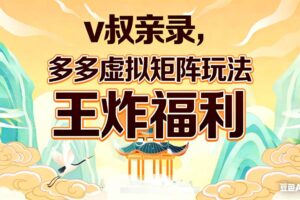 (17733期)v叔亲录,多多虚拟矩阵玩法,王炸福利限时领取