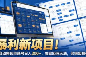 暴利新项目！全自动搬砖单账号日入200+，独家矩阵玩法，保姆级操作【揭秘】