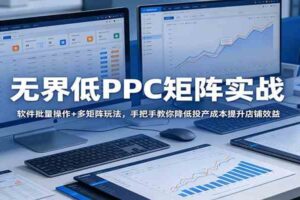 无界低PPC矩阵实战:软件批量操作+多矩阵玩法,手把手教你降低投产成本提升店铺效益