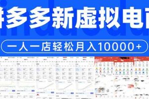 (17978期)拼多多虚拟电商一人一店轻松月入10000+