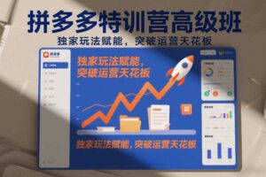 拼多多特训营高阶班,独家玩法赋能,突破运营天花板(更新26年5月23日)