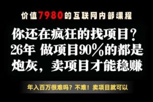 26年请不要疯狂的找项目了，卖项目远比你想象的暴利，你也可以月入10W+【揭秘】